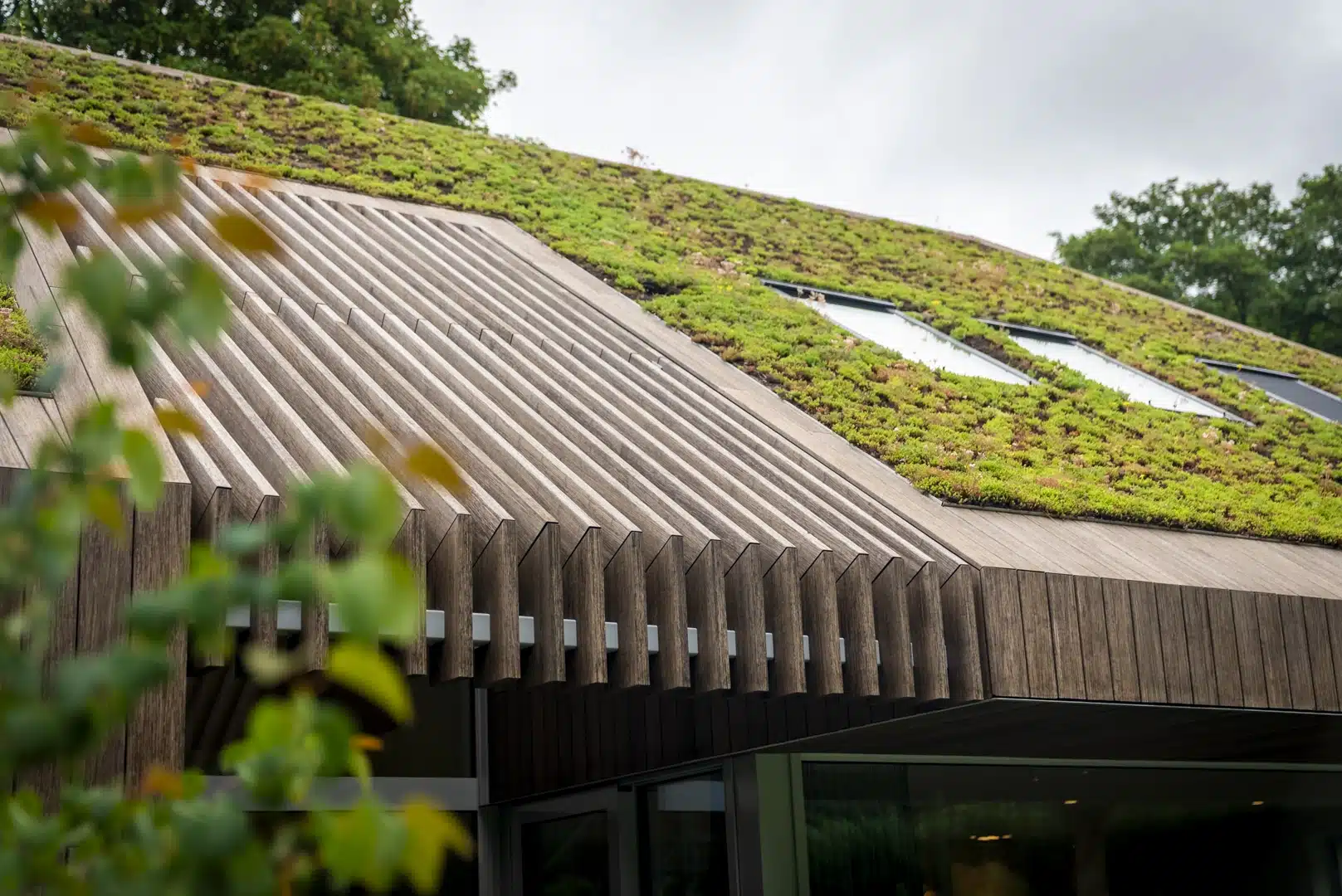 Natuurrijk wonen in boshuis Berkum