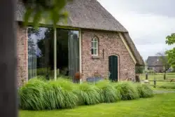 Achtergevel van de boerderijwoning in Okkenbroek met rieten dak en natuurlijke erfbeplanting.