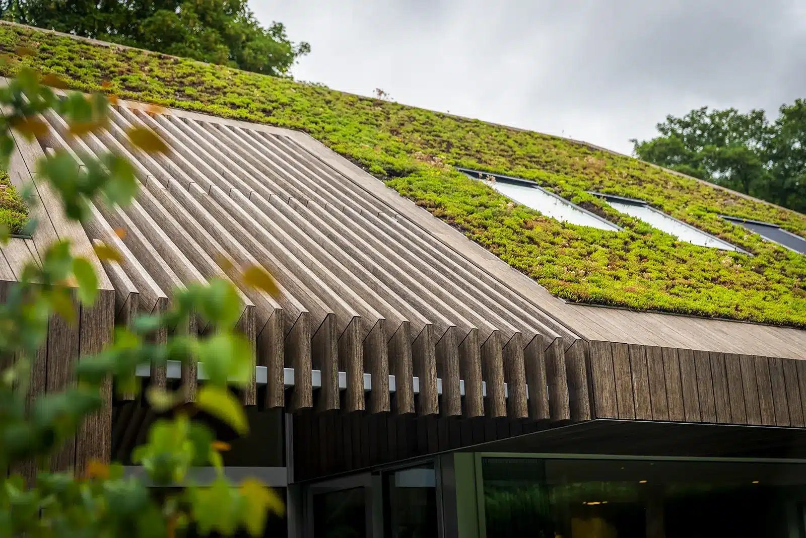 Detail van het sedumdak en houten lamellen van de duurzame woning in Berkum.