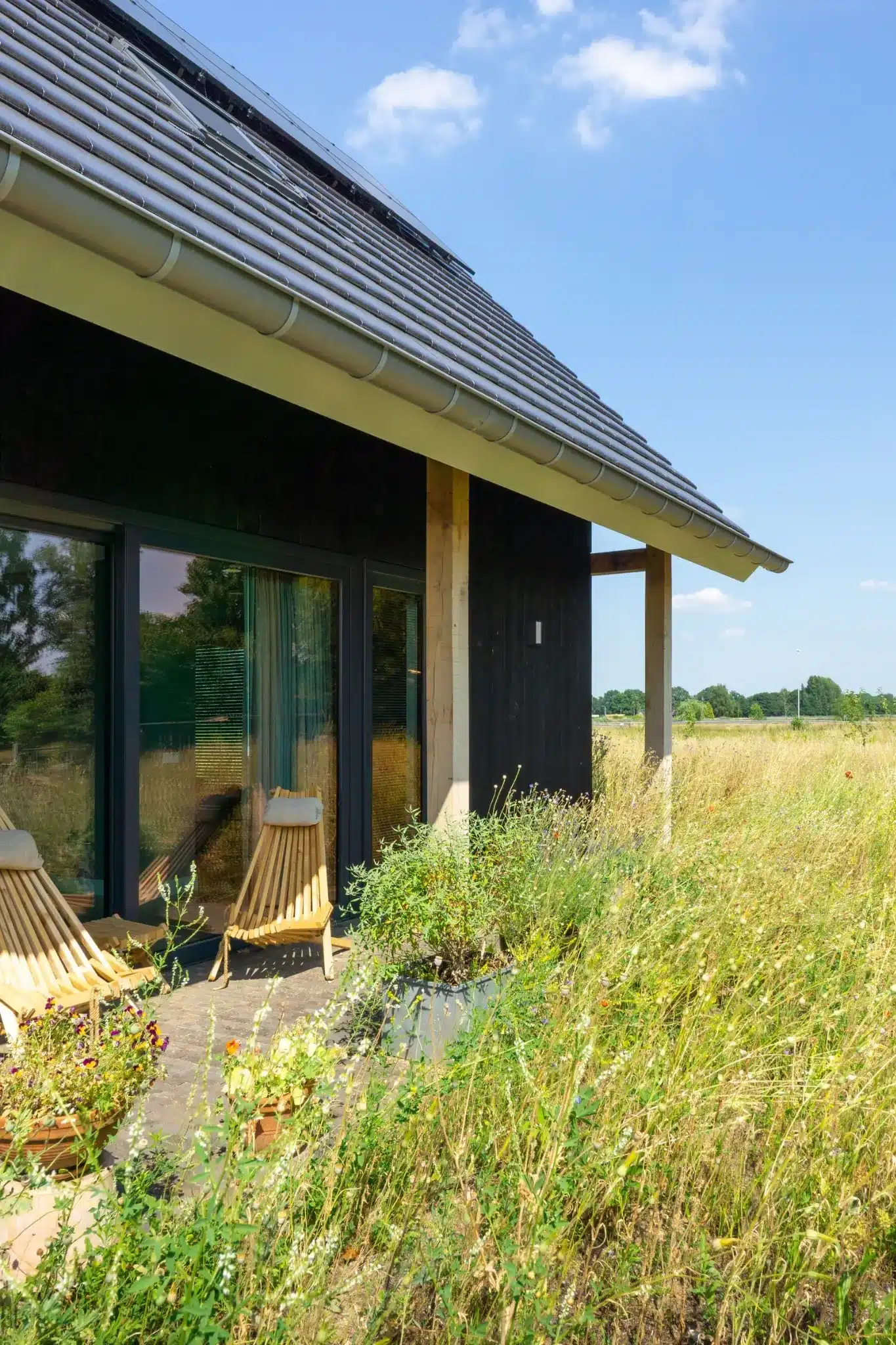 Voorgevel met zitplek en uitzicht op het omliggende ruige veld vol wilde grassen en bloemen.
